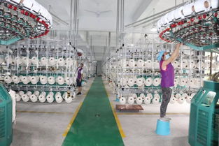 麗富藝集團各生產(chǎn)廠工作動態(tài)